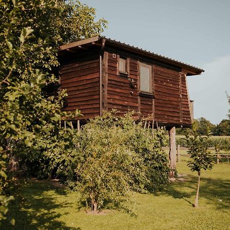 Treehouse Drevesna Hiska Strkovo Gnezdo Ranc Jures Hotel Ljutomer Exterior foto
