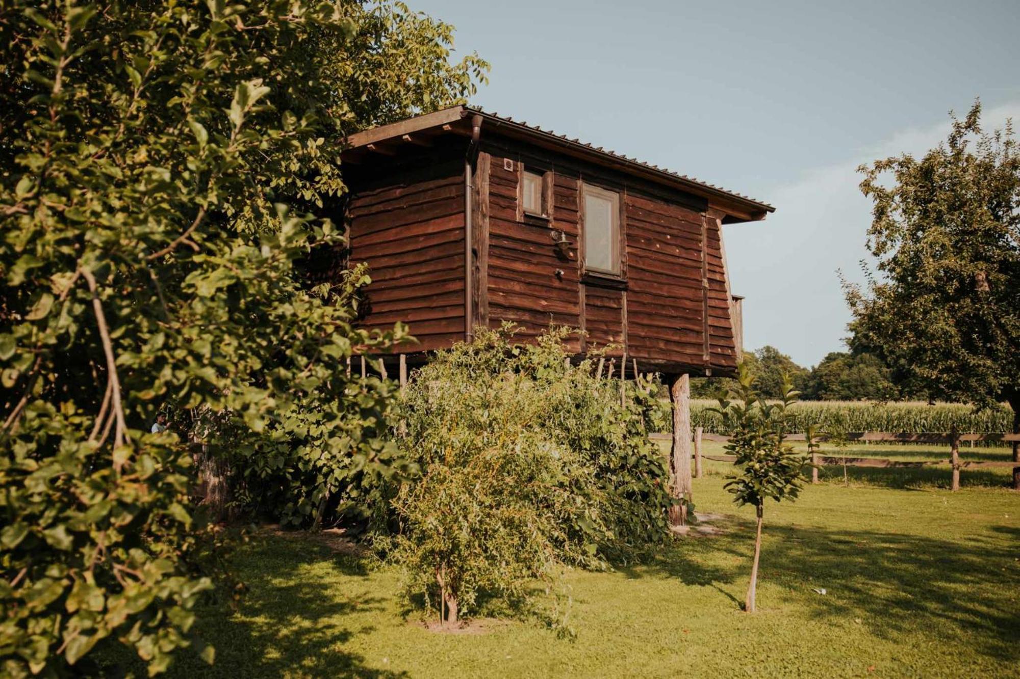 Treehouse Drevesna Hiska Strkovo Gnezdo Ranc Jures Hotel Ljutomer Exterior foto