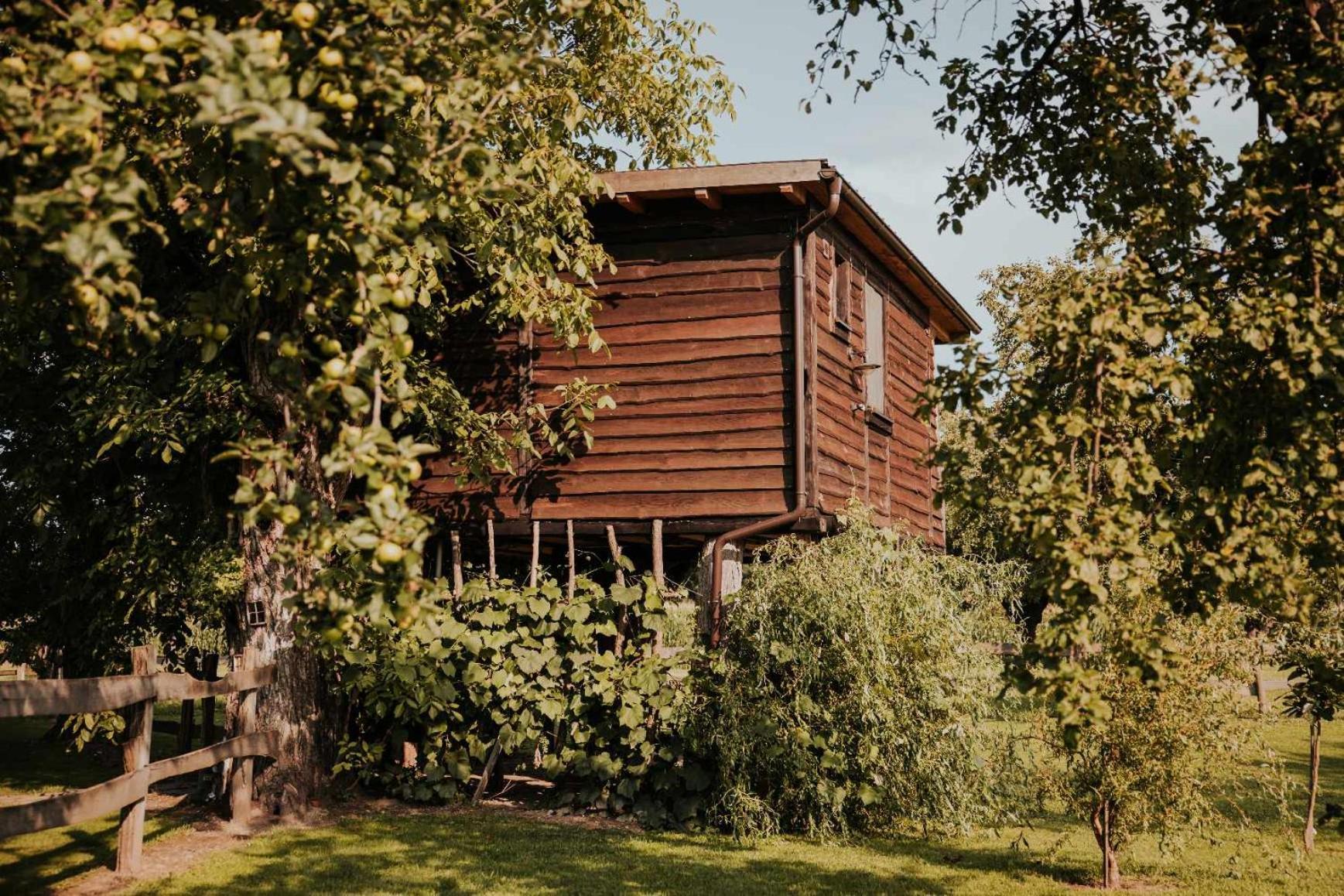 Treehouse Drevesna Hiska Strkovo Gnezdo Ranc Jures Hotel Ljutomer Exterior foto